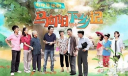 经典的农村题材电视剧,一部农村题材电视剧的温情演绎