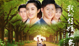 电视剧我的三妈两爸,温情岁月里的家庭传奇